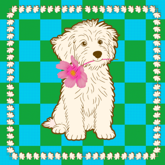 Tegeltje Labradoodle