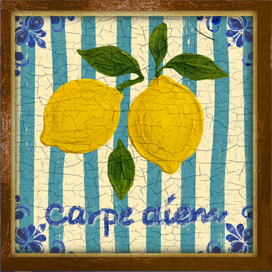 Tegeltje Carpe diem