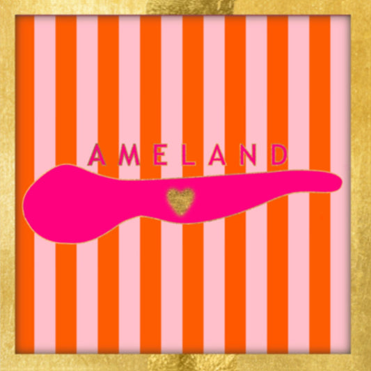 Tegeltje Contour van Ameland oranje roze